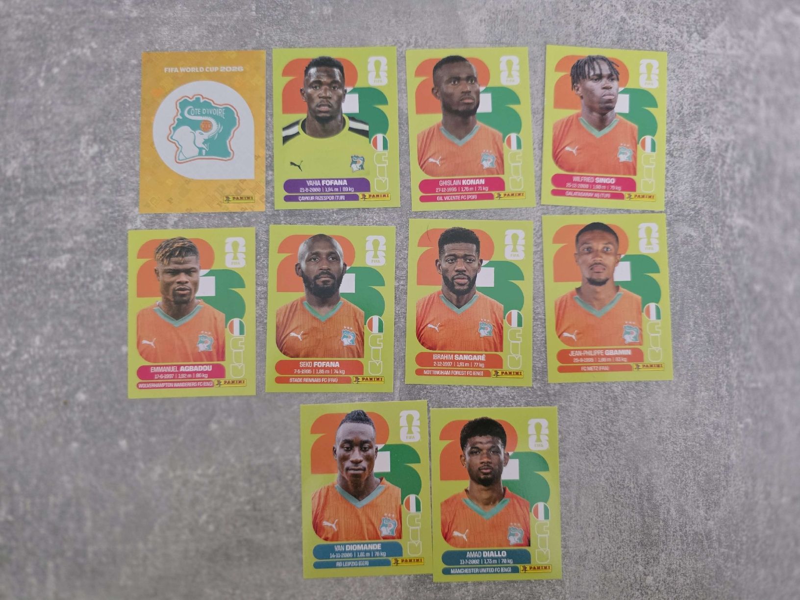 Panini Carte collezionabili: Panini WM 2026 Sticker - Elfenbeinküste – Usato da St. Gallen venduto da Shelly__x3