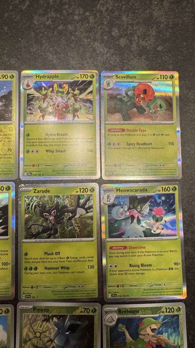 Pokémon Carte collezionabili: Pokemon Karten Set, Alle Holo Karten! – Nuovo (secondo la descrizione) da Dietlikon venduto da abd_7qwy 1
