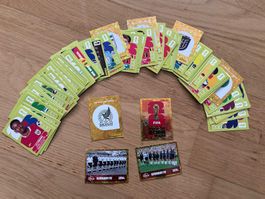 101 Stk. Panini Sticker WM 2026
