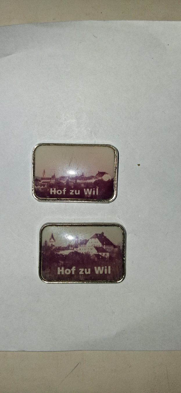 Placchette & Badge: 2 x Pin  Hof zu Wil – Usato da Ettenhausen TG venduto da Sstef9