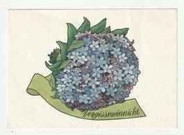 Postkarte Vergissmeinnicht mit Band Grusskarte, 17.07.1983