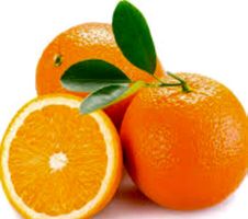 15 Samen Sizilianische Orange «BLOND" (zur Keimung zu Hause)