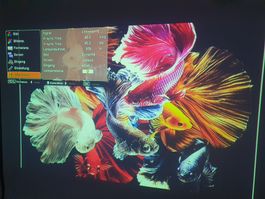 🔥SANYO✨PLV-Z5🎬Projektor🎞️Heimkino🏠Beamer🎥PROFI 3LCD⚡TOP