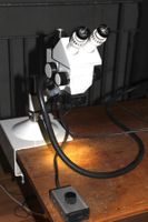 Carl Zeiss Jena GSZ mit Schwenkarm und Glasfaser-Lichtquelle
