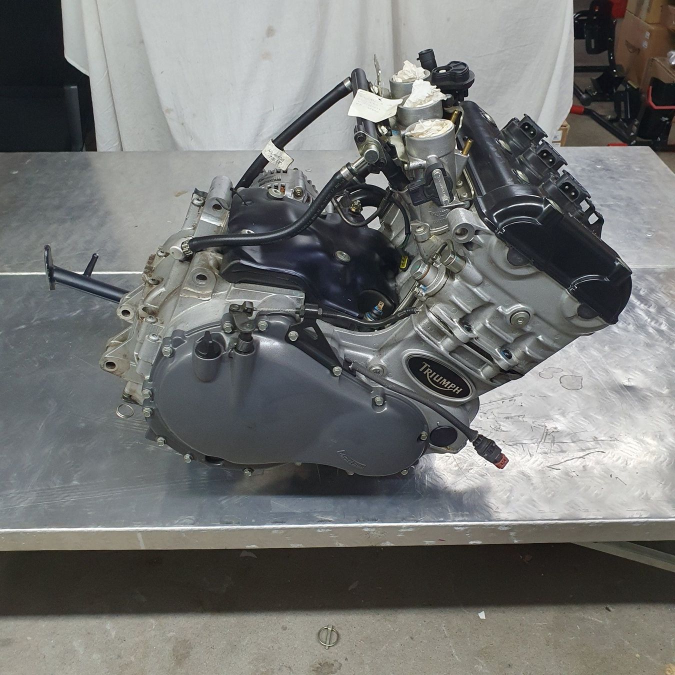 Triumph Tutti i ricambio per moto: Motor Triumph Sprint RS 955i Jg. 2000 – Usato da Widnau venduto da Staedler2 1