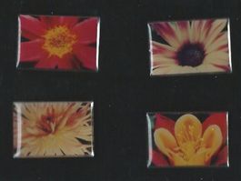 4er Set Blumen Pins