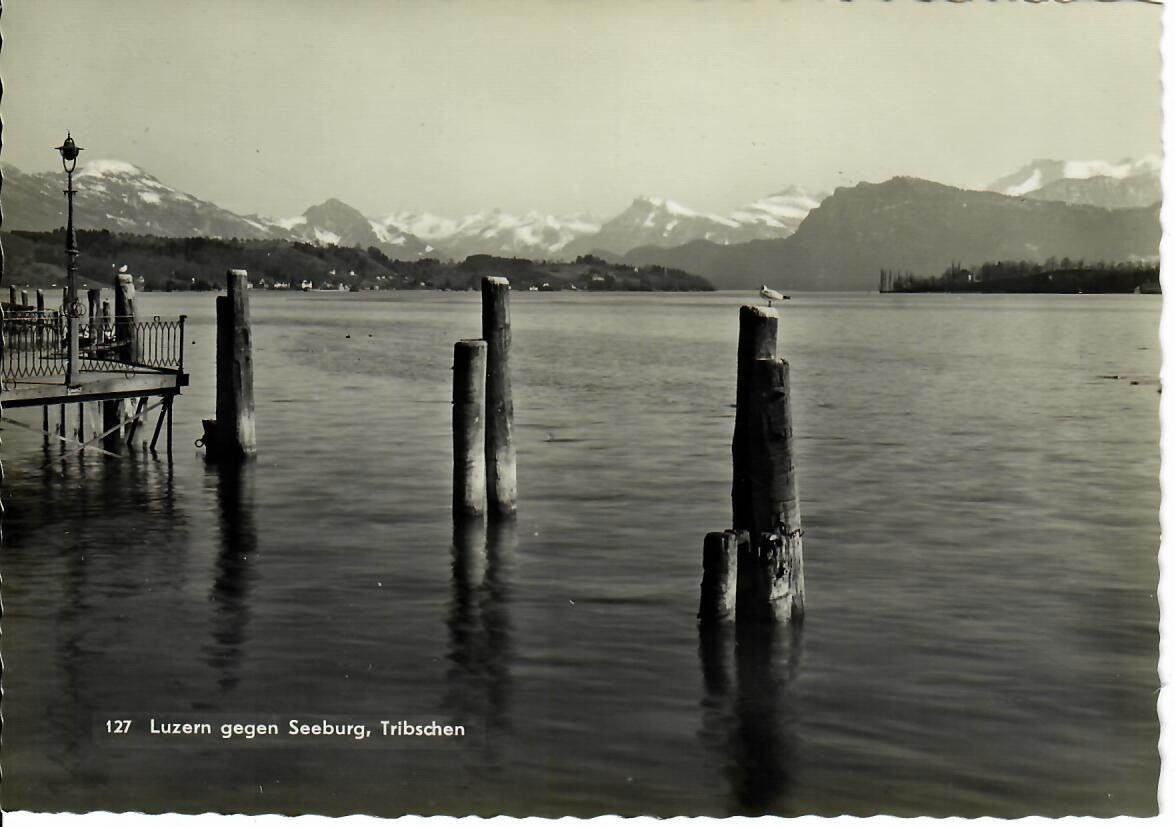 Cartoline postali: Luzern gegen Seeburg – Usato da Hochdorf venduto da Ziegel-16