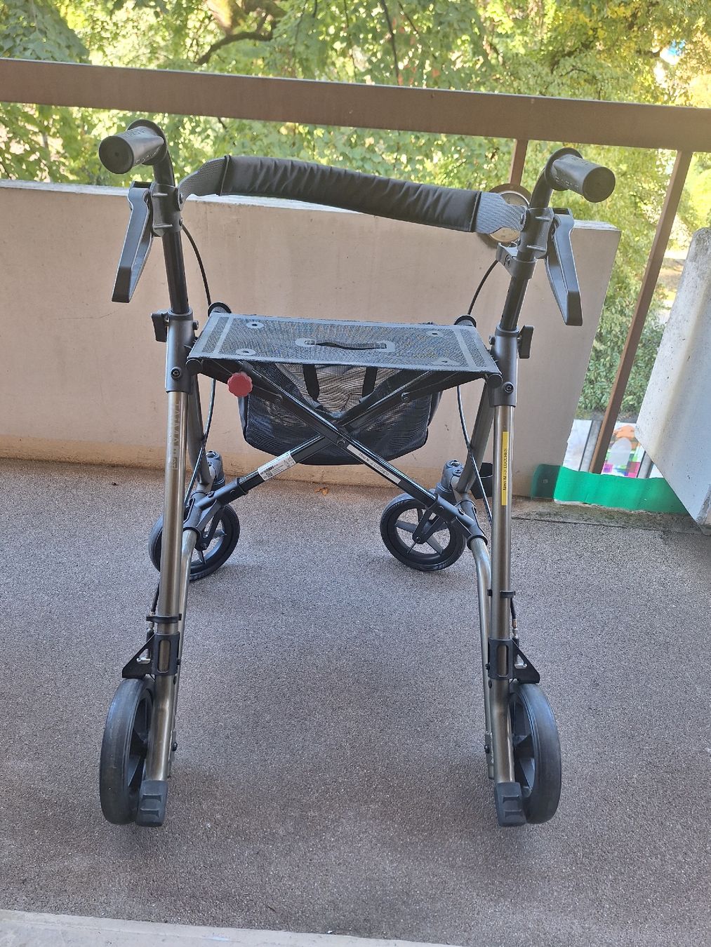 Ausili per la deambulazione: rollator Taima M GT – Usato da La Tour-de-Peilz venduto da clo_cw6s 3