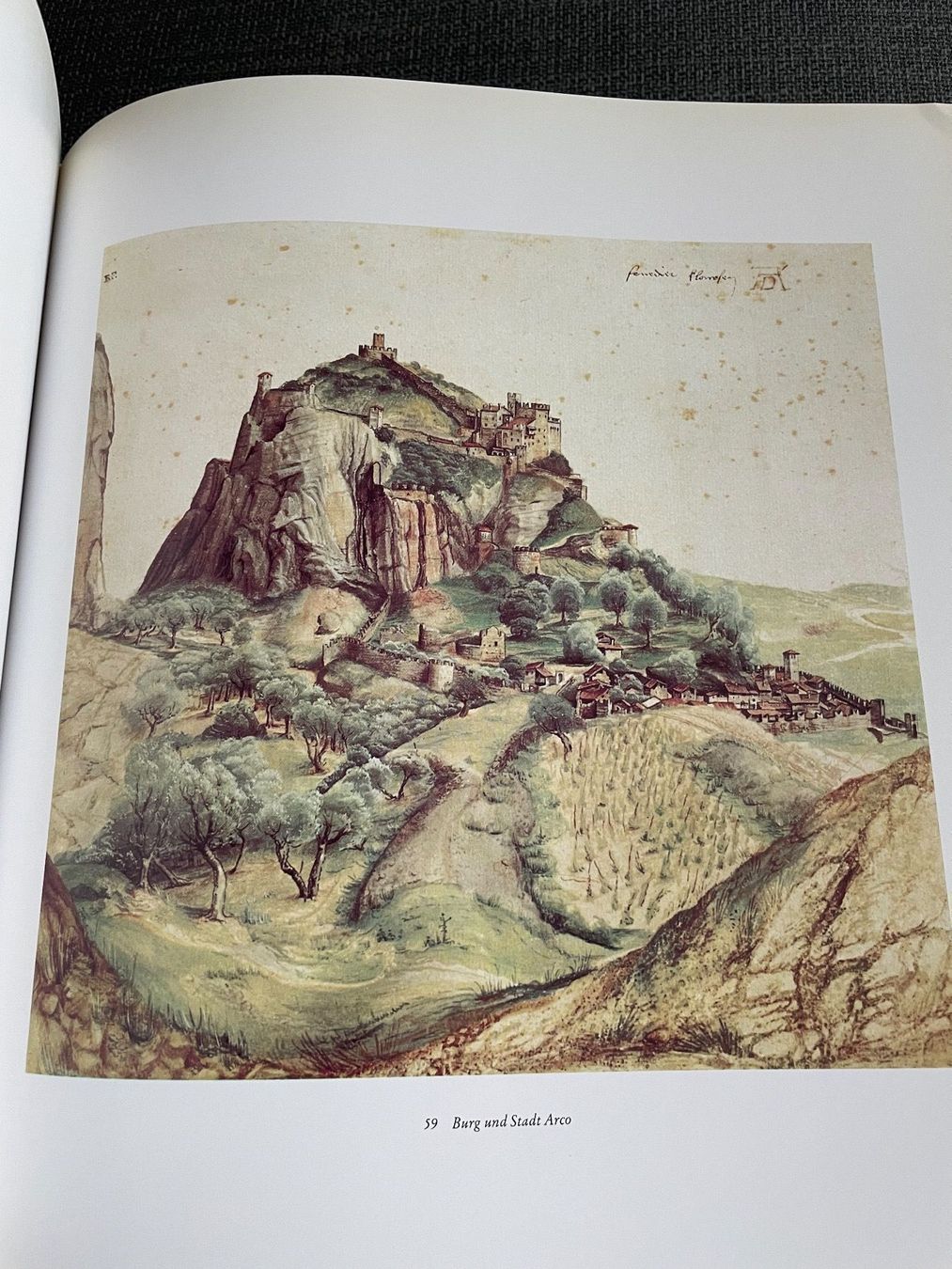 Libri: Libro sull’opera di Albrecht Dürer – Usato da Breganzona venduto da BlueBlue 6