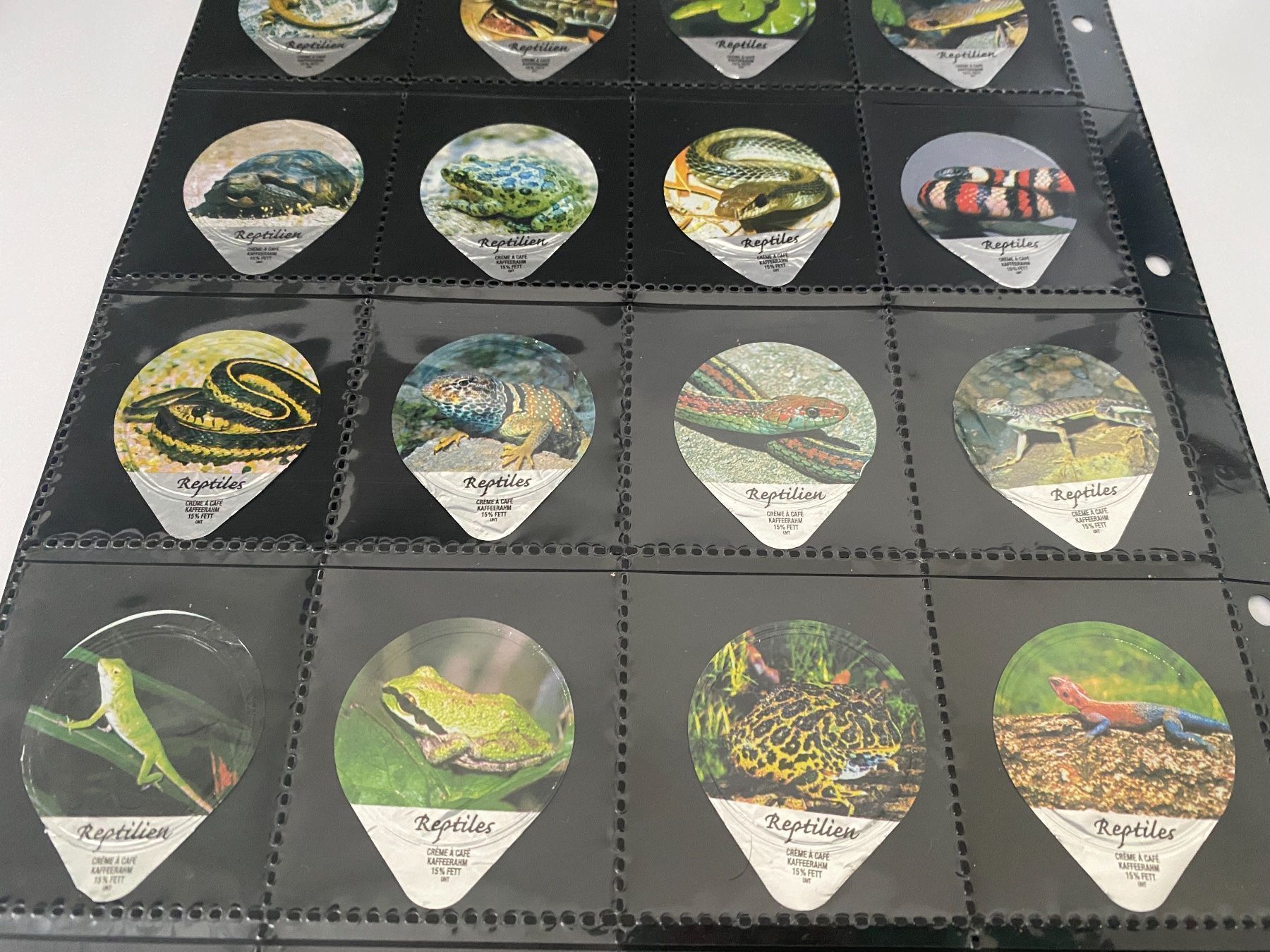Coperchi dei cremini per caffè: KRD 494 REPTILIEN – Usato da Glattbrugg venduto da riseca 3
