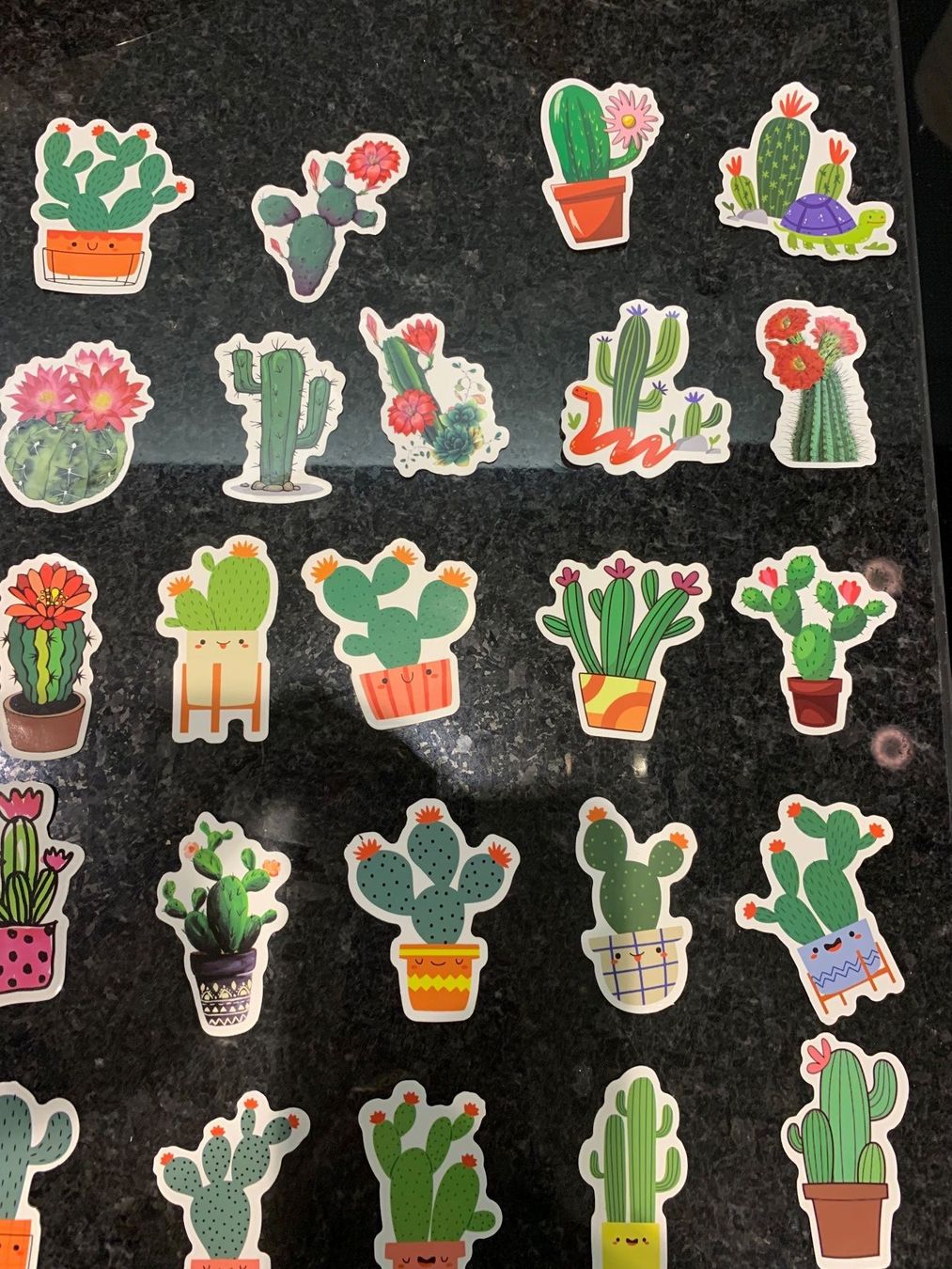 Sticker: Aufkleber, Kaktus, Sticker 50 Stück – Nuovo e nell'imballaggio originale da Rorschach venduto da lobosch1 3
