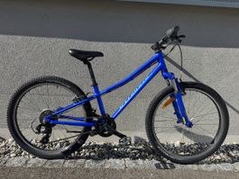 Specialized 24 Zoll Top Bike