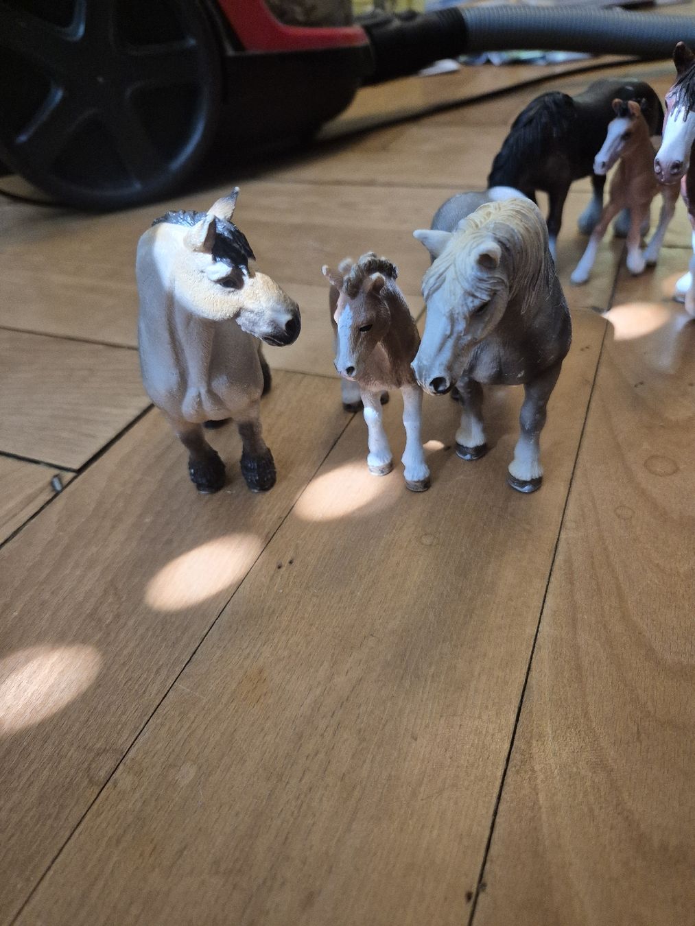 Schleich Figuren: Schleich Pferde div. – Gebraucht aus Zürich von Enila1977 2