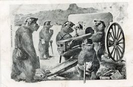 Thun  BE   -   Bären beim Kanonen - Schiessen    um  1 9 0 8