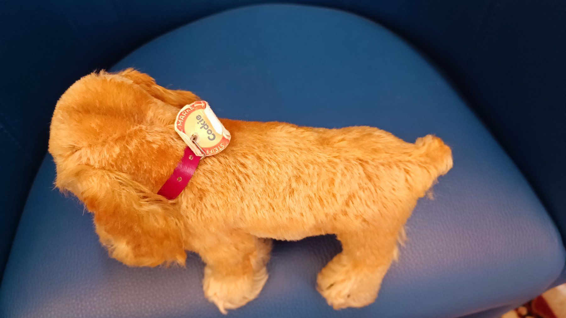 Giocattoli: Steiff Cocker Spaniel Hund Cockie Vintage – Usato da Reiden venduto da Zofi-Brocki 4