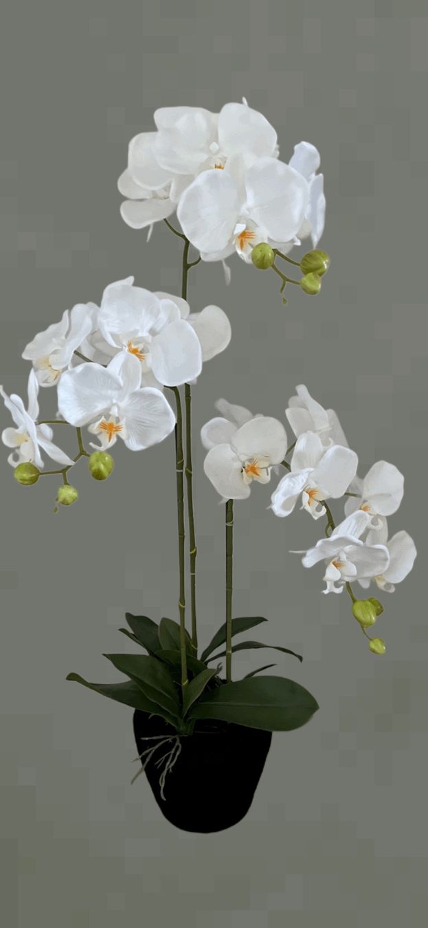 Pflanzen & Samen: Kunstpflanze Orchideen weiss mit Kunsterde – Neu und originalverpackt aus Emmen von codici