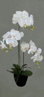 Kunstpflanze Orchideen weiss mit Kunsterde