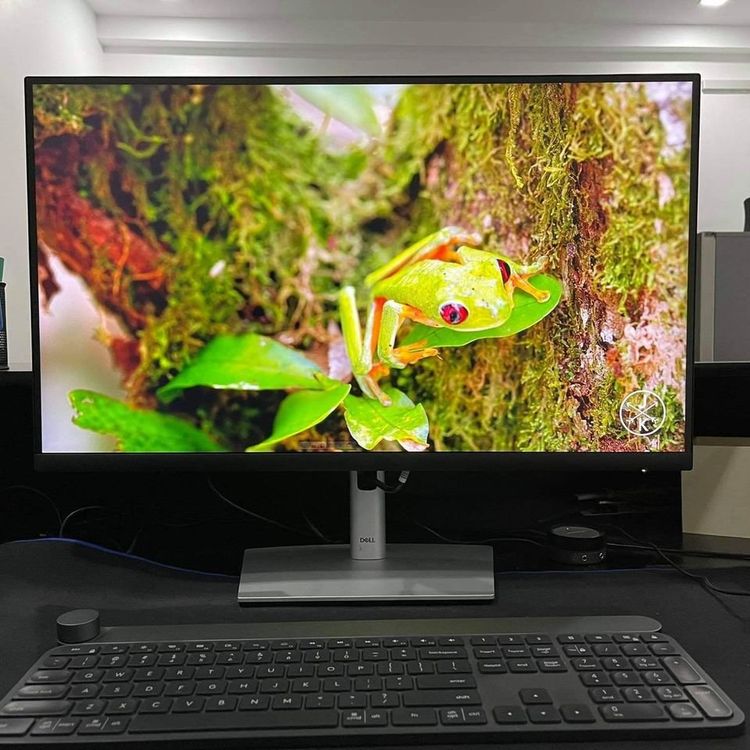 Dell 27' 4K USB-C Monitor -professional for office/coding | Acheter sur  Ricardo
