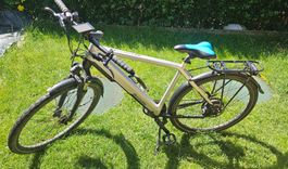 Allegro E-Bike Champion II A Silber