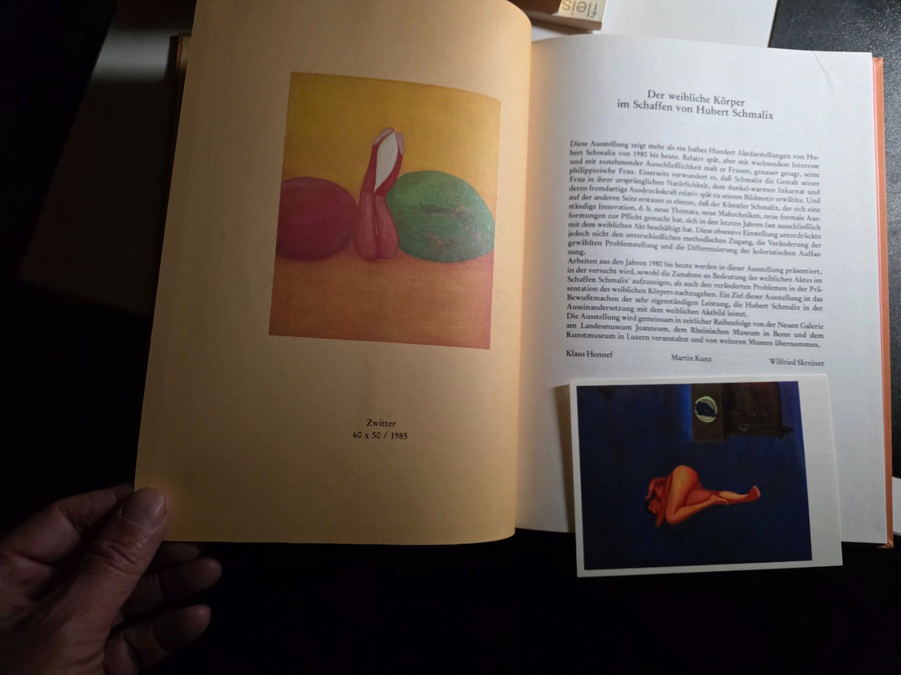 Libri: Yasmin und Iris - Hubert Schmalix - Kunst Buch 1986 – Usato da Walterswil BE venduto da Lonitti 9