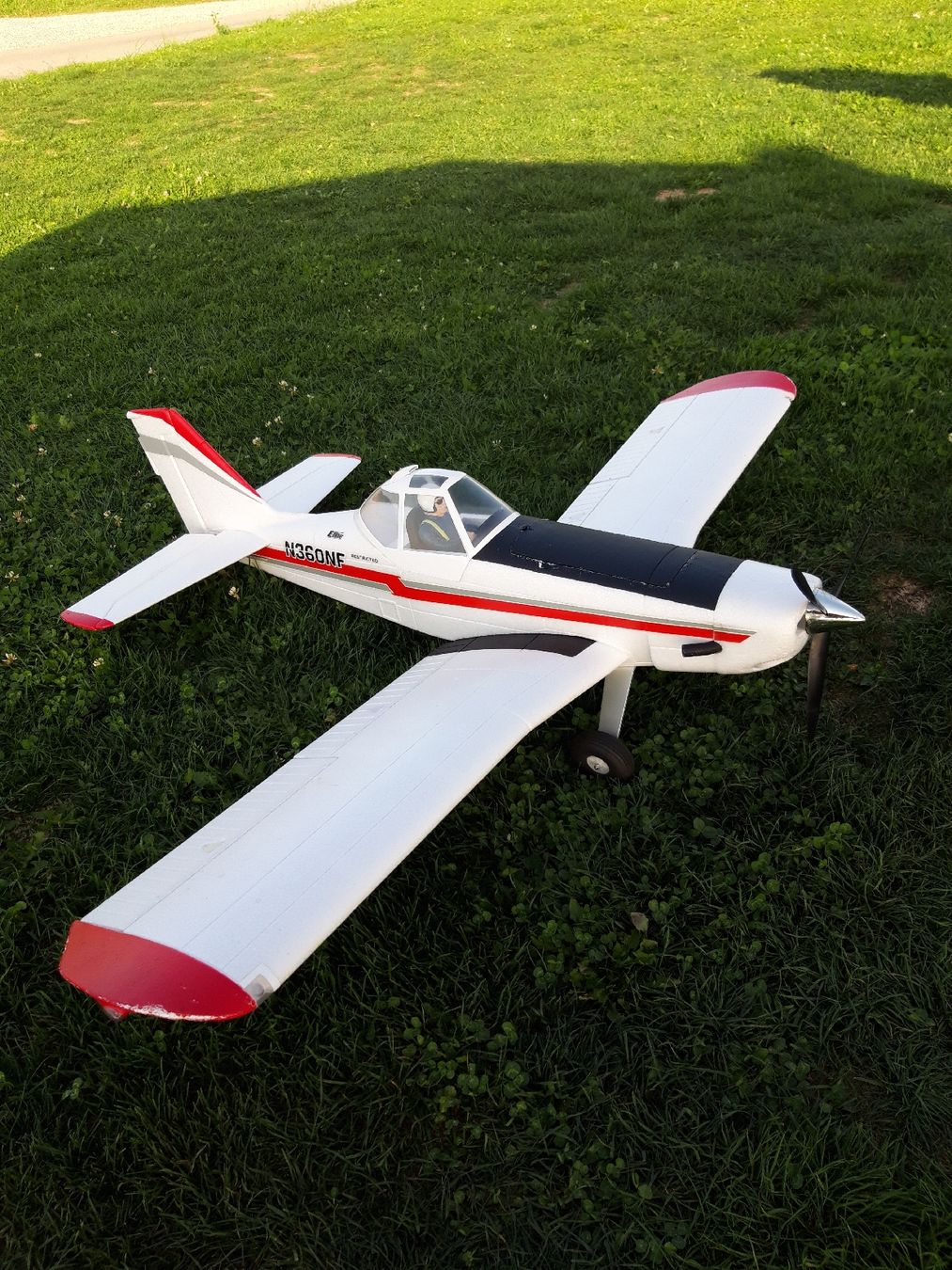 E-Flite Modellismo RC: piper pawnee E-flite – Usato da Wolhusen venduto da Pasradiesvogel