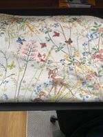 Decke von Disney