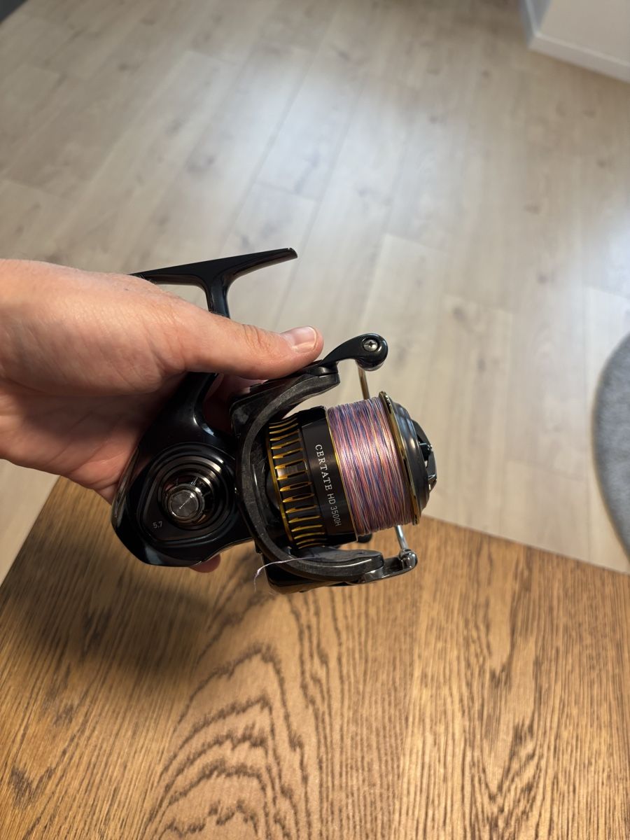 Daiwa Tamburi & Mulinelli: Angelrolle Daiwa Certate HD 3500 – Usato da Erlach venduto da Louis022 4