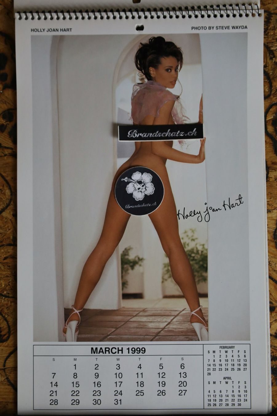 Playboy Calendriers: PLAYBOY Kalender 1999 – D'occasion à Birrwil par brandschatz_birrwil 1