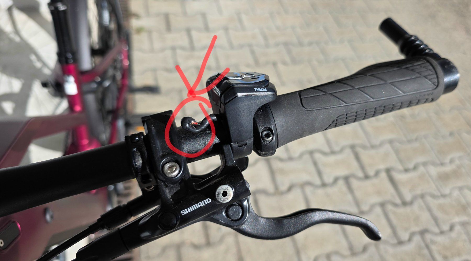 Bixs Velos: E-Bike BIXS Access EX GOR - 2025 – Defekt aus Meggen von Ralca 2