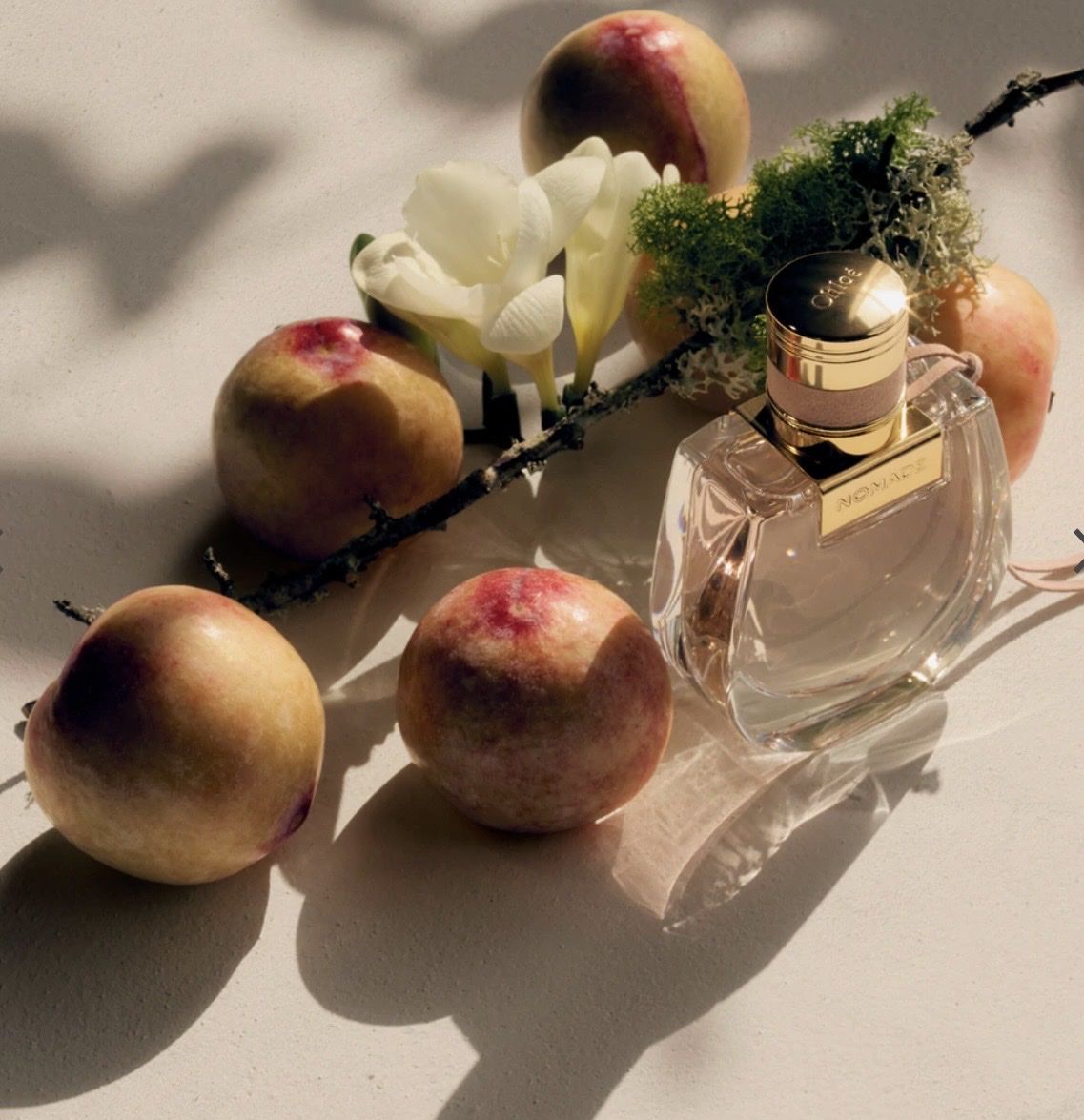 Chloé Profumi & Eau de Toilette: Chloé Nomade Eau de Parfum 75ml – Nuovo (secondo la descrizione) da Schlieren venduto da axe_nr8f 1