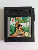 Gameboy Color Original Modul EUR Survival Kids/Stranded Kids