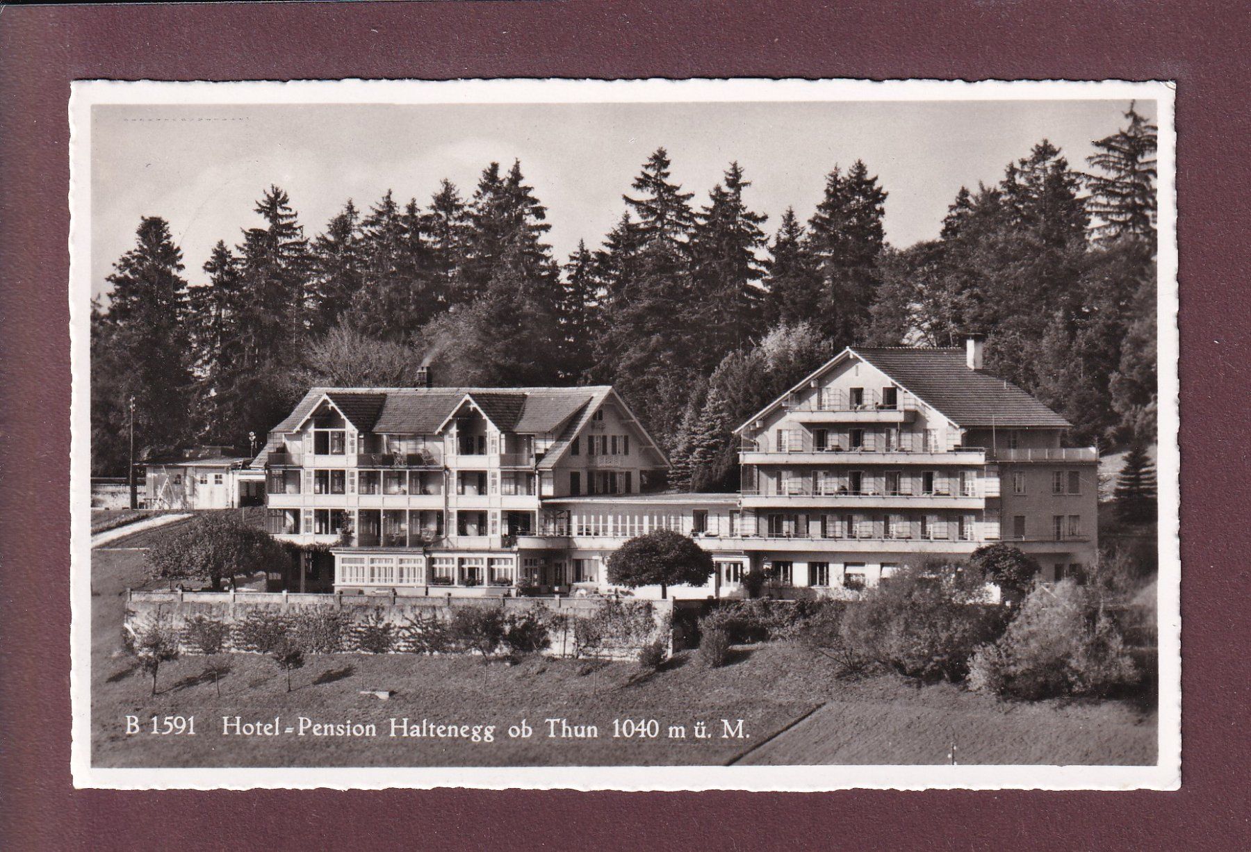 Ansichtskarten: HALTENEGG ob Thun - Hotel-Pension - 1959 – Gebraucht aus Pully von nicecards