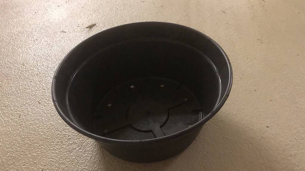 Pots de fleurs: Blumentopf – D'occasion à Küsnacht ZH par sis_v7qk