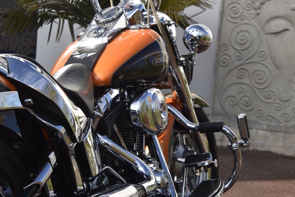 Harley-Davidson Touring: Harley-Davidson Softail Fatboy FLSTF, Typ X, MFK 04.09.2024 – Usato da Kriegstetten venduto da Tamandua 2