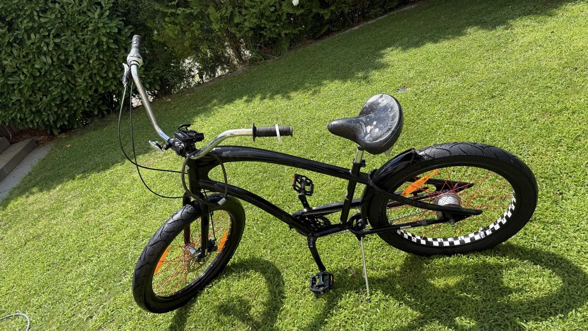 Biciclette: Electra Cruiser Bike Straight 8 Speed  – Usato da Zürich venduto da ricmp007 1