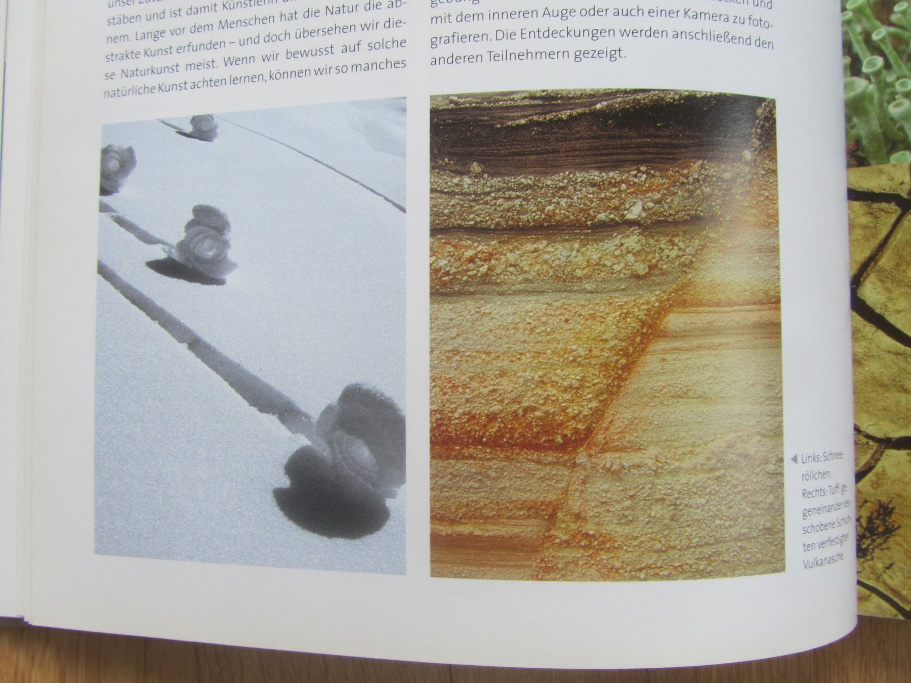 Libri: Naturwerkstatt Landart – Usato da Seengen venduto da mikelele 4