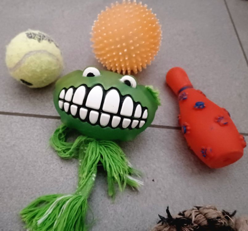 Ab 1. fr !!! 11 Spielsachen für Ihren Hund. Gebraucht, aber Kaufen