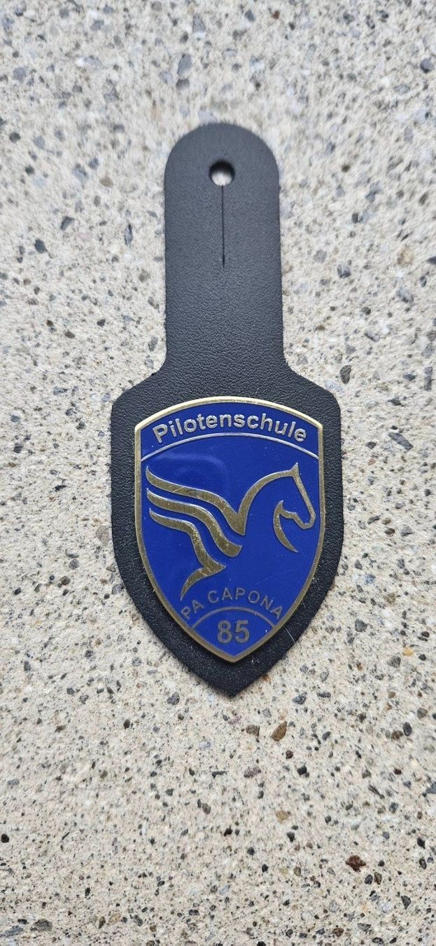 Schweizer Armee Placchette & Badge: *** Brustanhänger Luftwaffe Rare *** – Nuovo e nell'imballaggio originale da Riedholz venduto da fr_sIruP