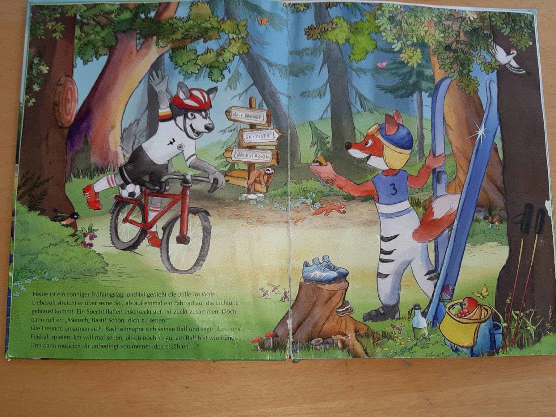Libri: Fussballfieber - Kinderbuch – Usato da Rotkreuz venduto da nigal 4