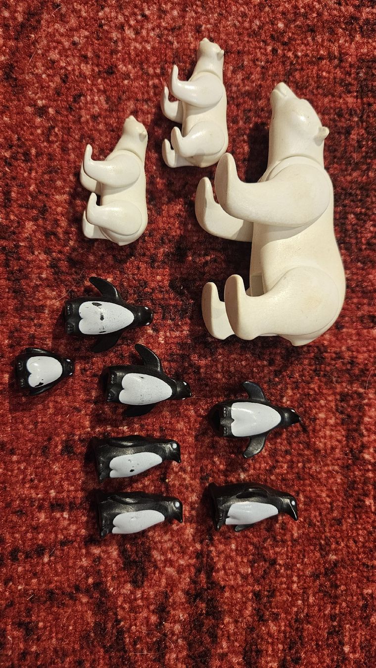 Playmobil Giocattoli: Playmobil Eisbären 7580, Pinguine 7041 – Usato da Rudolfstetten venduto da Hoppel17