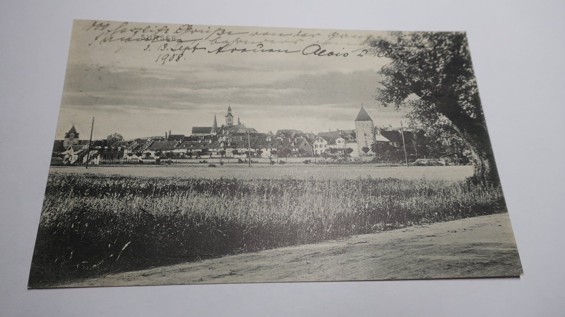 Cartes postales: Sursee 1908 – D'occasion à Cormoret par Pascalll2001 1