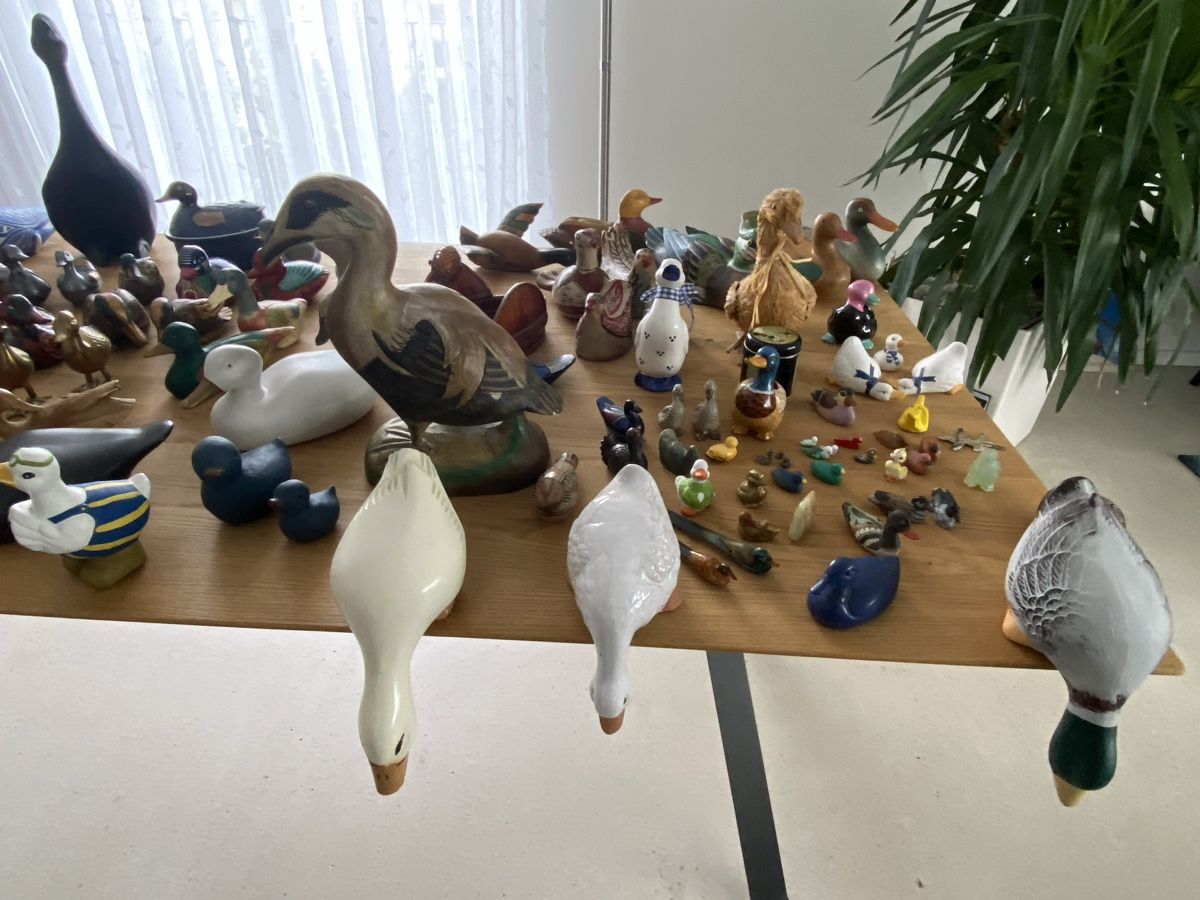 Figuren: Entensammlung ca. 100 Stück – Gebraucht aus Geroldswil von Marlenca 3