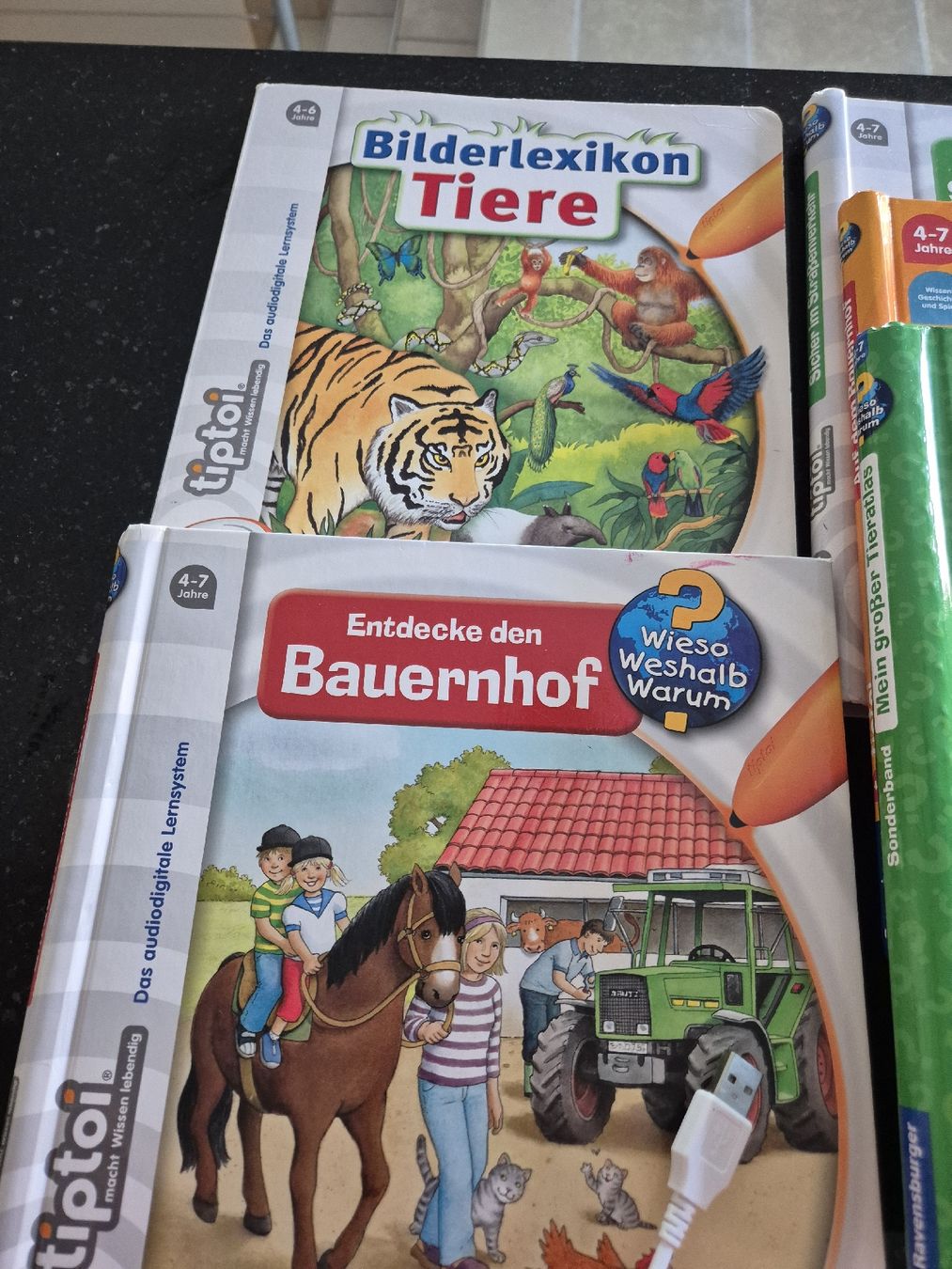 Libri: Tiptoi Stift und Bücher – Usato da Boppelsen venduto da Momofidelio 1
