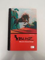 Blitz, der schwarze Hengst Festbund Briefversand