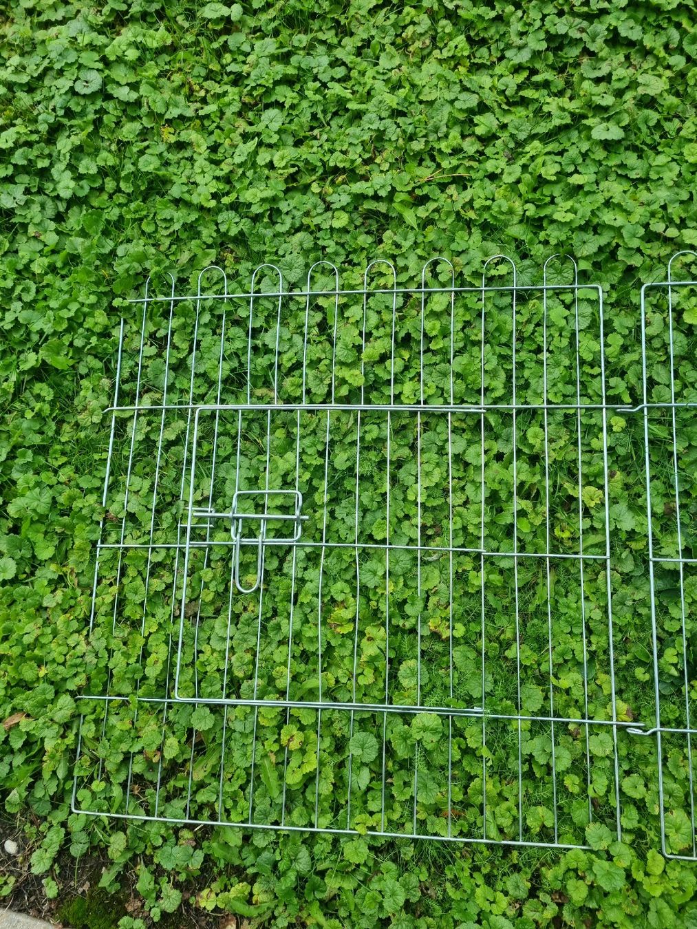Altro: Grilles extérieures pour lapins/autres – Usato da Herrliberg venduto da revelune 3