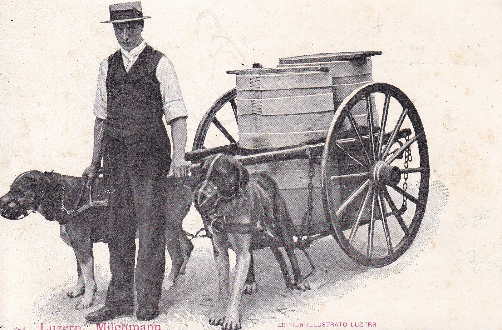 Cartoline postali: Luzern    LU     -   Milchmann mit Hundegespann    ca. 1900 – Usato da Brig venduto da Valcards54