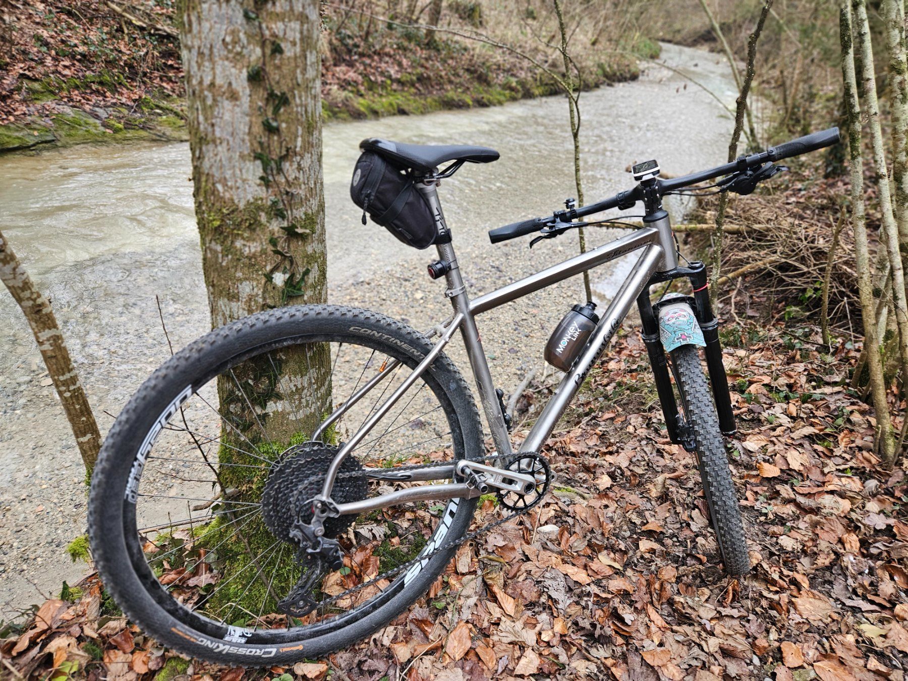 Biciclette: Titanium Mountainbike – Usato da Sirnach venduto da Degida 2