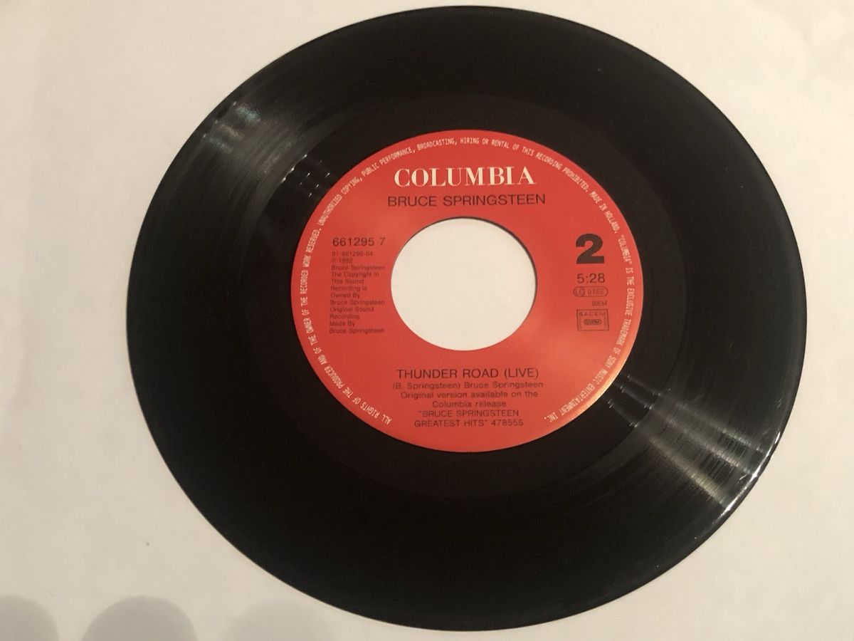 Dischi in vinile: Bruce Springsteen. 1995. Secret Garden – Usato da Faulensee venduto da Mizuno06 4