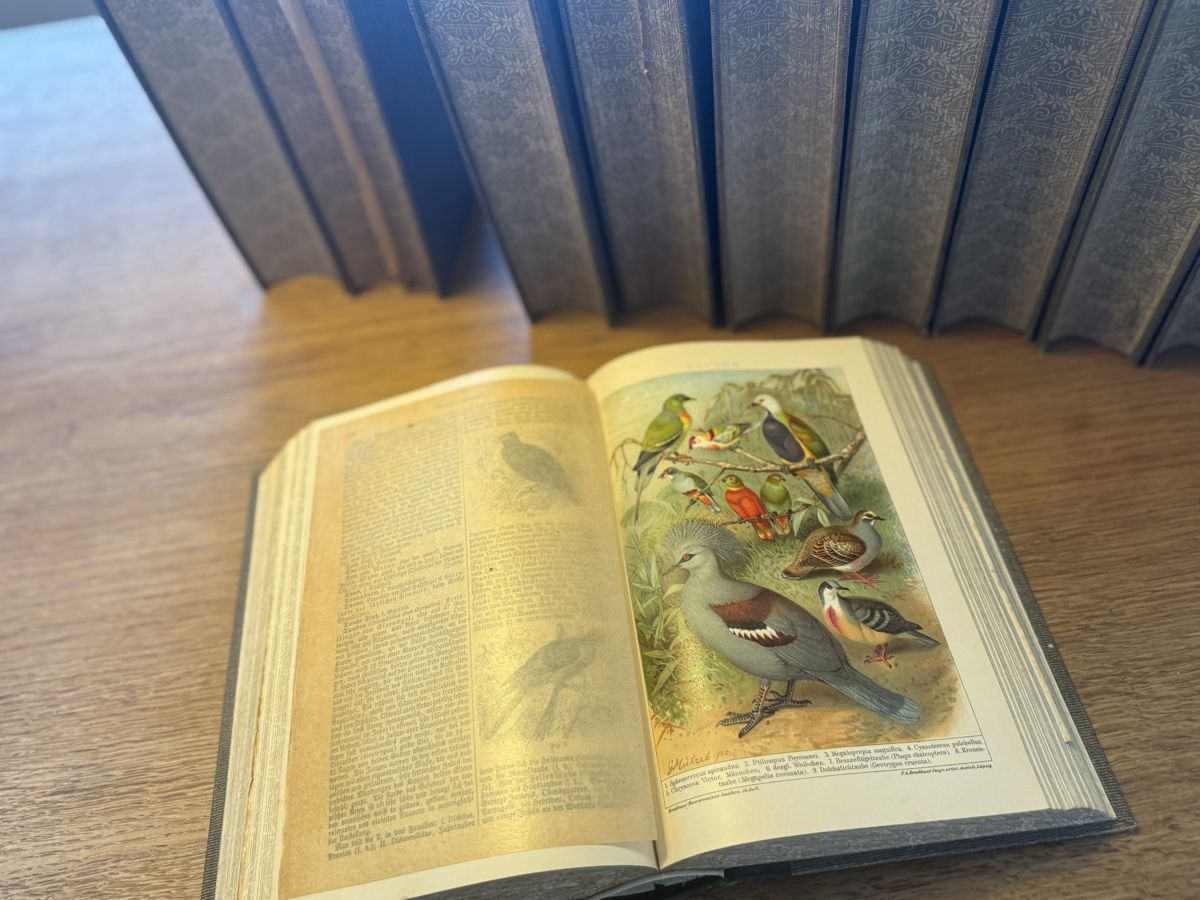 Libri: Brockhaus Konversationslekikon Leipzig 1908  – Usato da Winkel venduto da grexy 6
