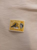 Ascension: Timbre rare "Black Noddy" - Reine Elizabeth II